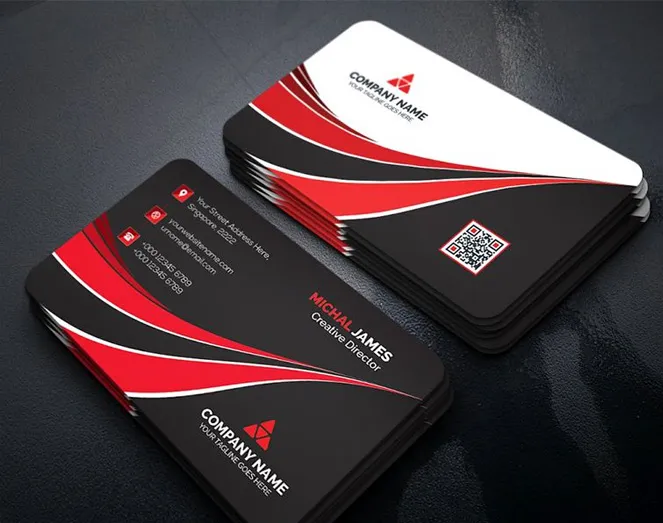 The Pioneer Publishers book cover