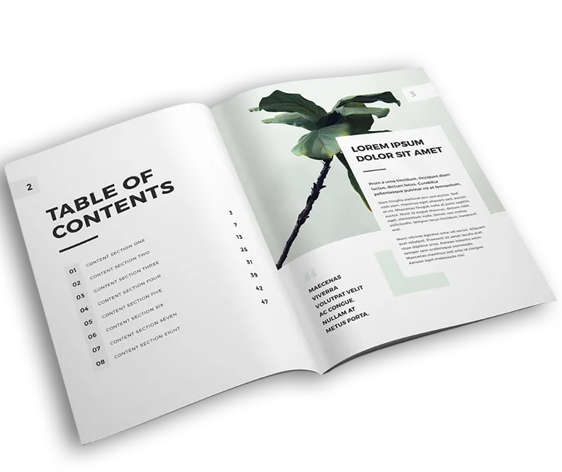 The Pioneer Publishers book cover