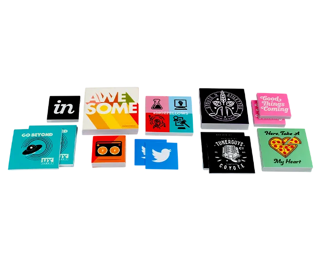 The Pioneer Publishers book cover